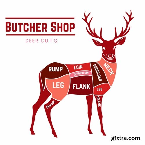 Collection of vector image sirloin meat cattle meat cutting meat cutting scheme 25 EPS