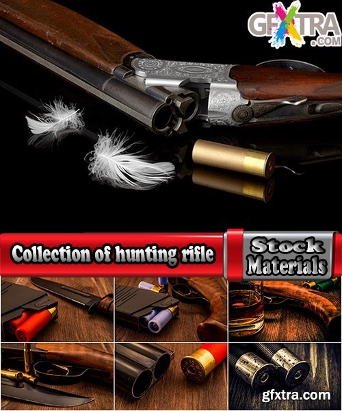Collection of hunting rifle hunting ammunition cartridge guns 25 HQ Jpeg