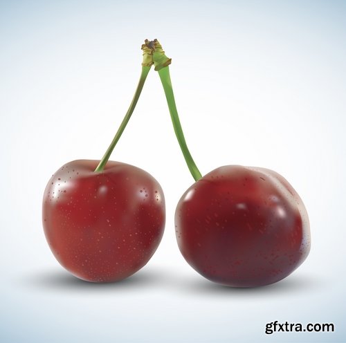Collection of sweet cherry berry cherry vector image 25 EPS