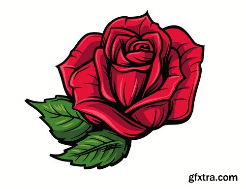 Red rose - 5 EPS