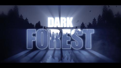 Dark Forest - 13570474