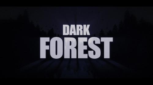 Dark Forest - 13570474
