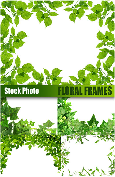 Stock Photo - Floral Frames