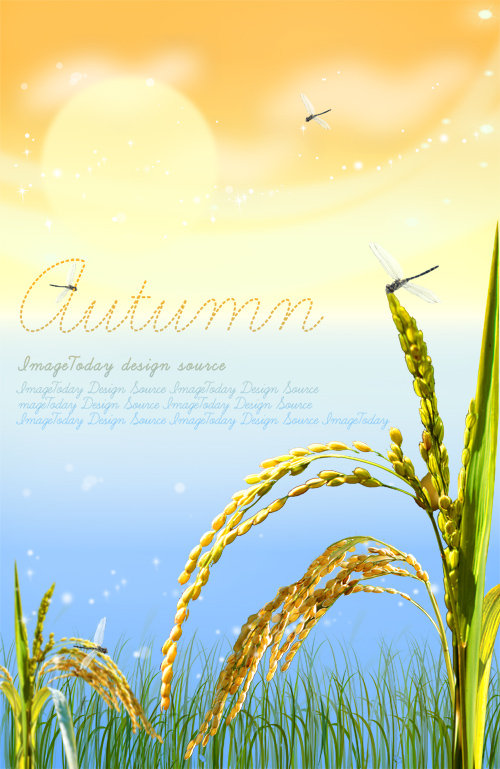PSD Source - Golden Autumn Grain Rice