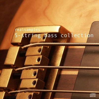 realsamples 5-String Bass Collection MULTiFORMAT