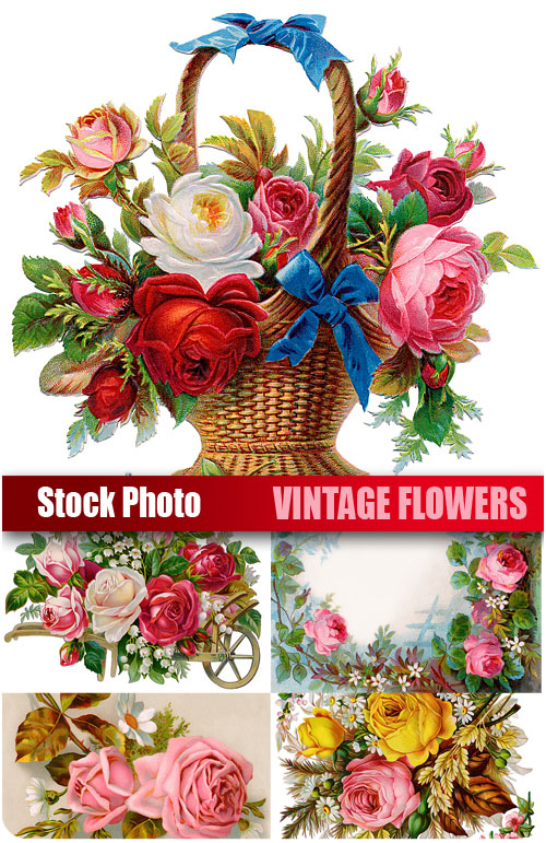 UHQ Stock Photo - Vintage flowers