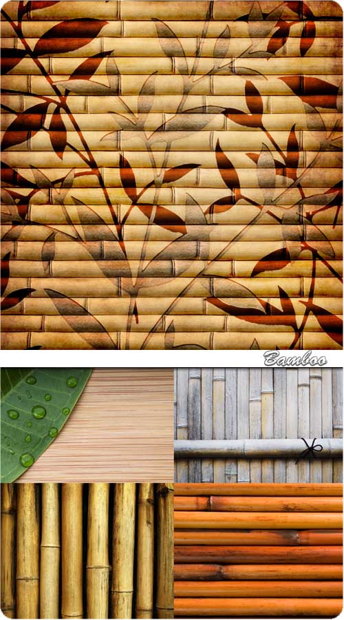 Bamboo Textures 6xJPG