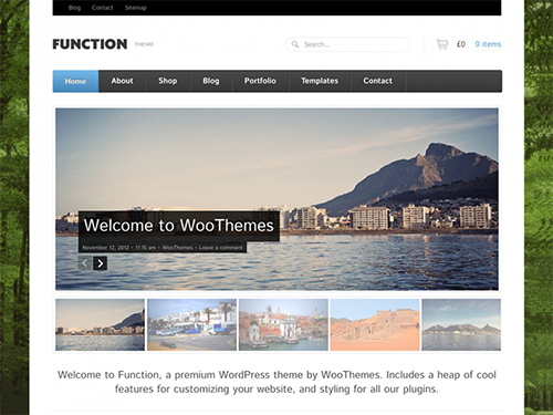 WooThemes - Function v1.1.17 - WordPress Theme