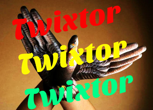 REVisionFX Twixtor Pro 6.0.2 for After Effects (Win64)