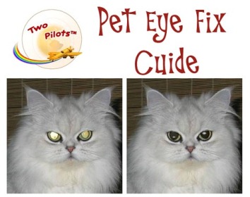 Pet Eye Fix Guide 1.4.2
