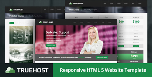 ThemeForest - Truehost - Responsive HTML 5 Hosting Template - RIP