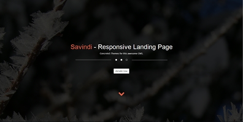 ThemeForest - Savindi - Responsive Landing Page - RIP