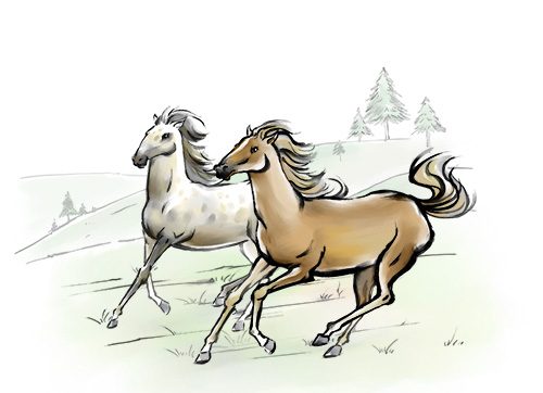 PSD Source - Drawn Watercolor Horses