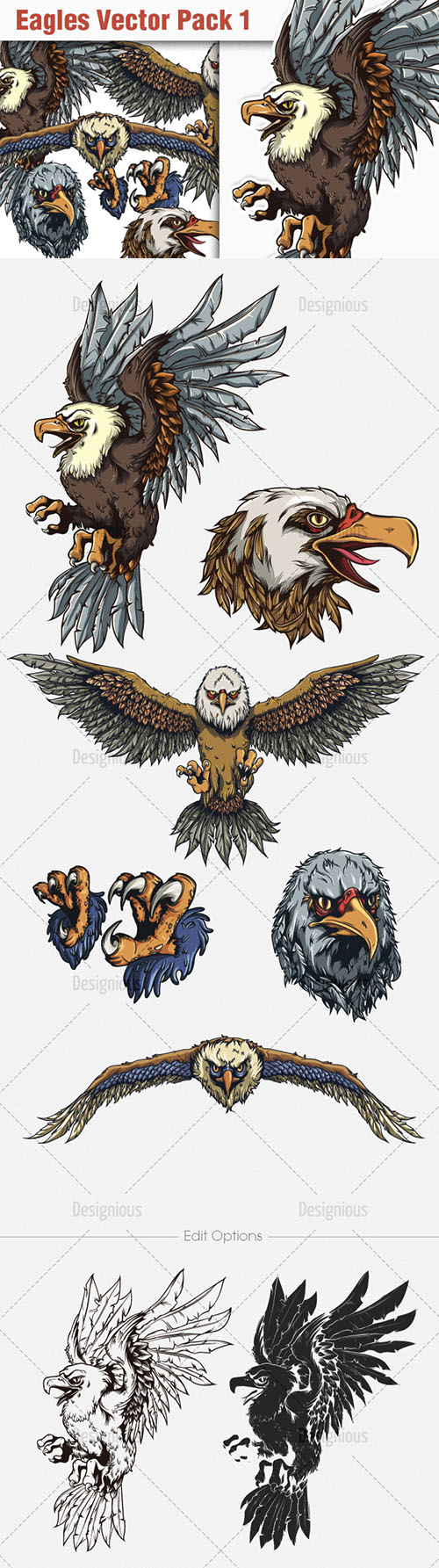 Eagles Vector Illustrations Pack 1