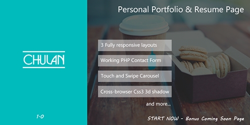 ThemeForest - Chulan - Personal Portfolio & Resume Page - RIP