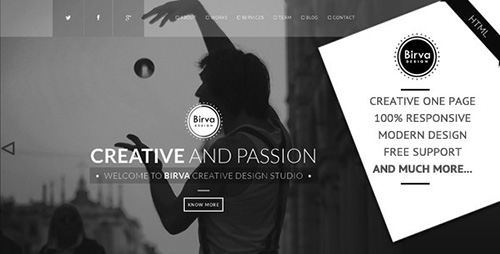 ThemeForest - Birva Design Creative One Page Theme - RIP