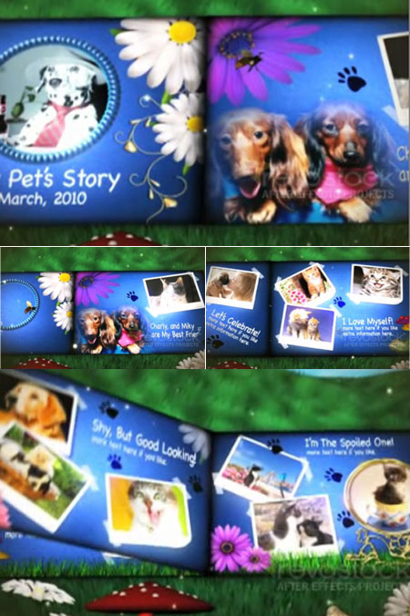 After Effects Project - My Pet's Story
