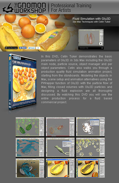 Gnomon Workshop - Fluid Simulation with Glu3D: 3ds Max Rendering Techniques (ENG)